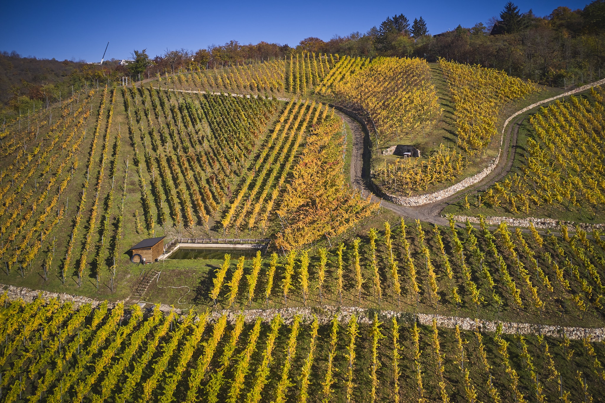Vinařství Zilvar zařazeno do viniční trati SCHWARZBERG